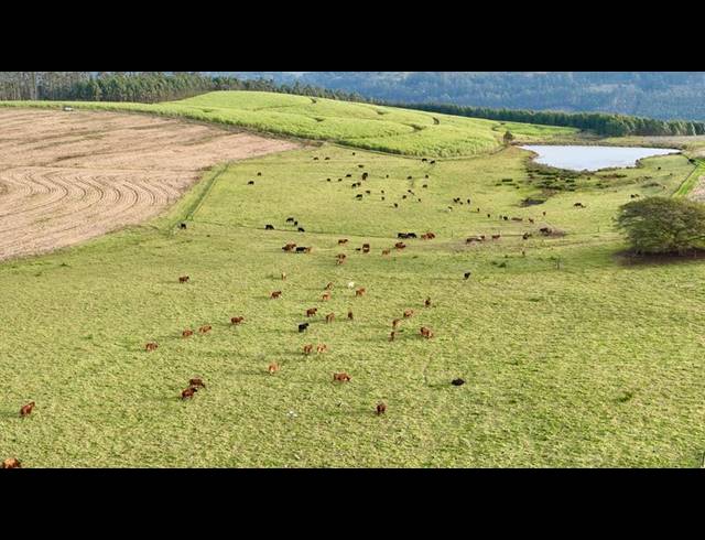 FARM FOR SALE IN MOUNT VERDE